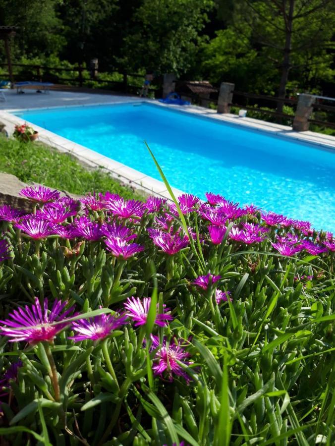 La Lacia Acqui Terme Exterior photo